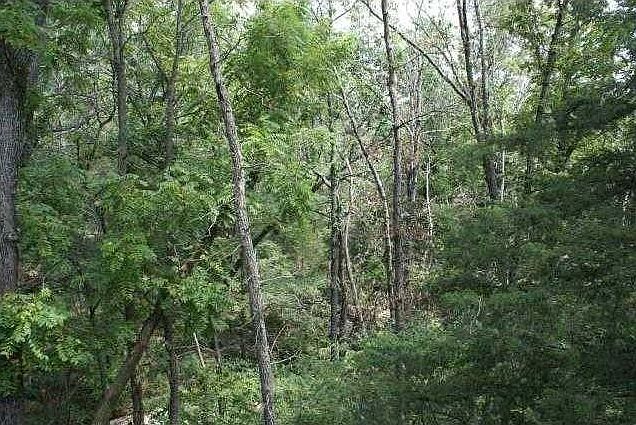 1st image of Chudleigh Ln