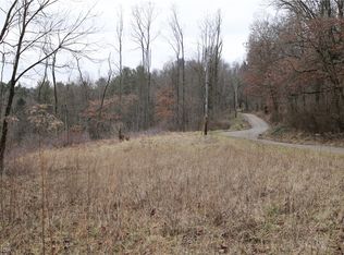 73310 Plum Rd, Kimbolton, OH 43749