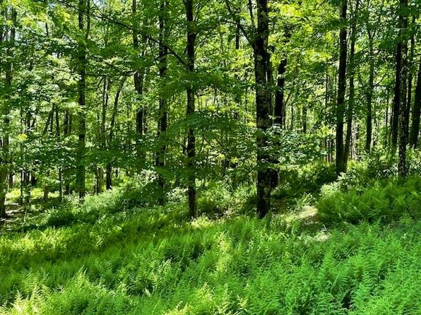  Cherry Street, Bethel, NY 12720