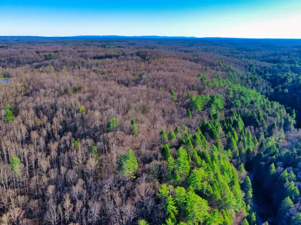 2 Ervin Brown Rd Tract 2, Sunbright, TN 37872
