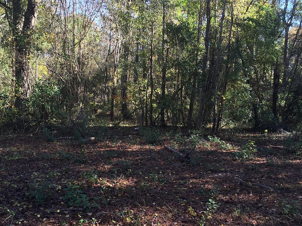 2nd image of 0 Riggs Road