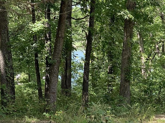 3rd image of 183 Indian Hills Ln