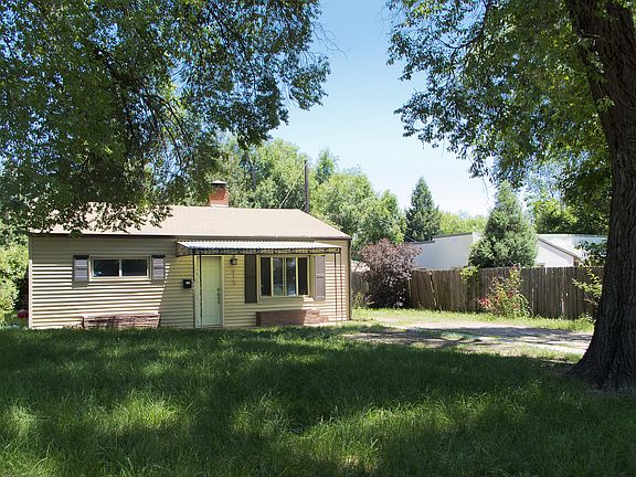 Look at the Beautiful Trees!