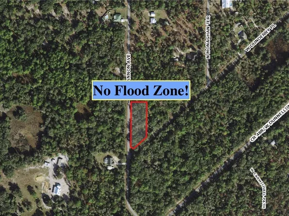 10923 W Dunderry Pl, Crystal River, FL 34428