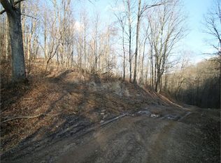 2445 Bear Run Rd, Reno, OH 45773