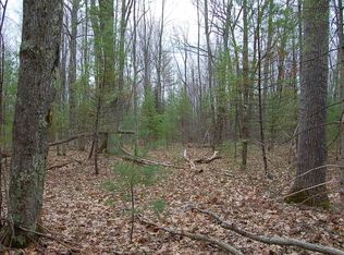 9000 4th Rd, Fife Lake, MI 49633