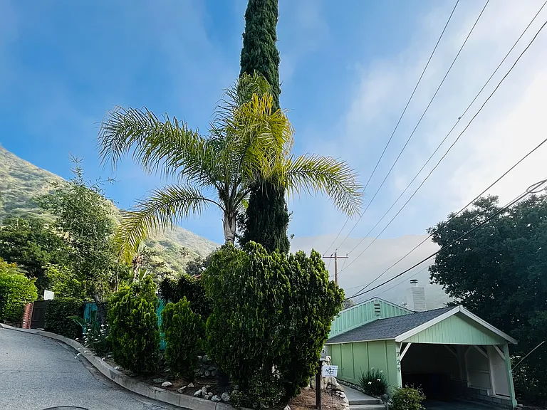 729 Orange Dr — Photo 38