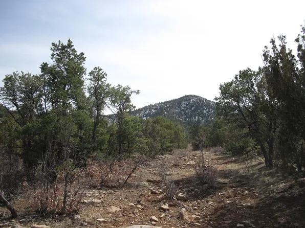 35 Ranchitos Ln, Edgewood, NM 87015