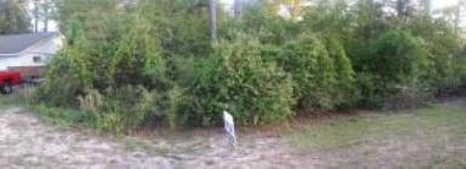 1st image of Wildwood