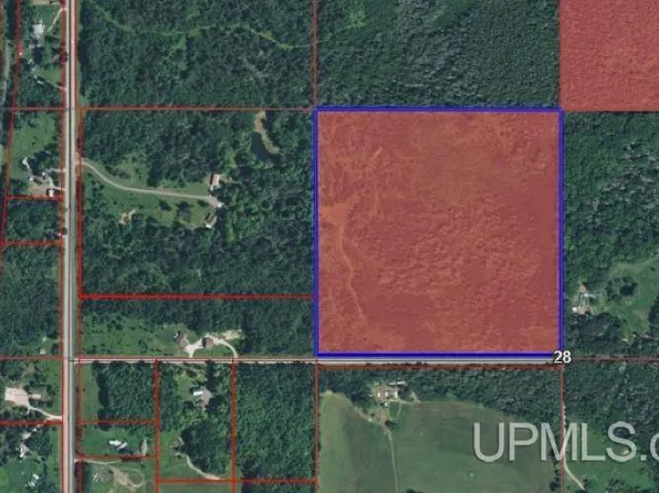 Forest Ln, Sagola, MI 49881