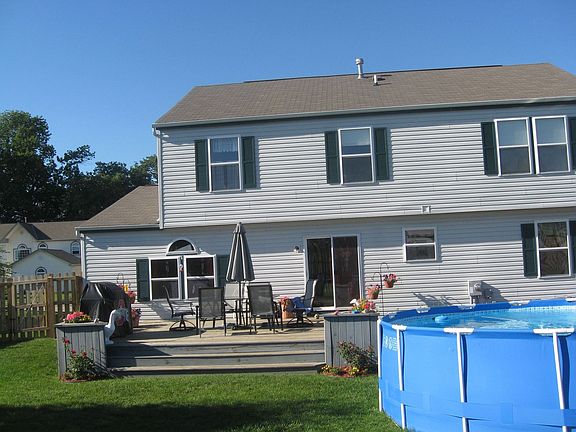 Back View