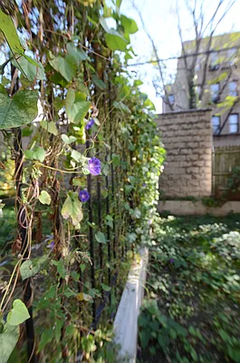 Rented by Miron Realty Group | media 109