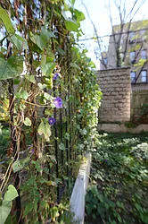 Rented by Miron Realty Group