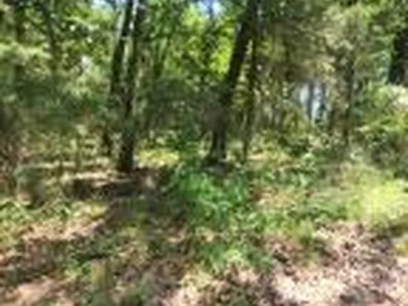 (undisclosed Address), Knoxville, AR 72845