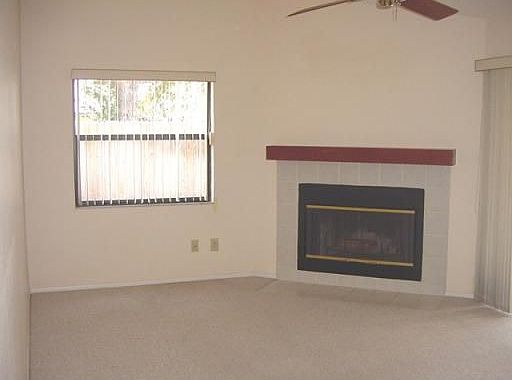 Wood Burning Fireplace
