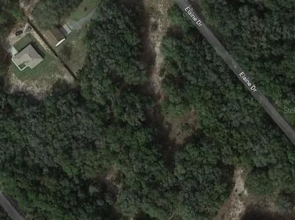 Elaine Dr Lot 5, Webster, FL 33597