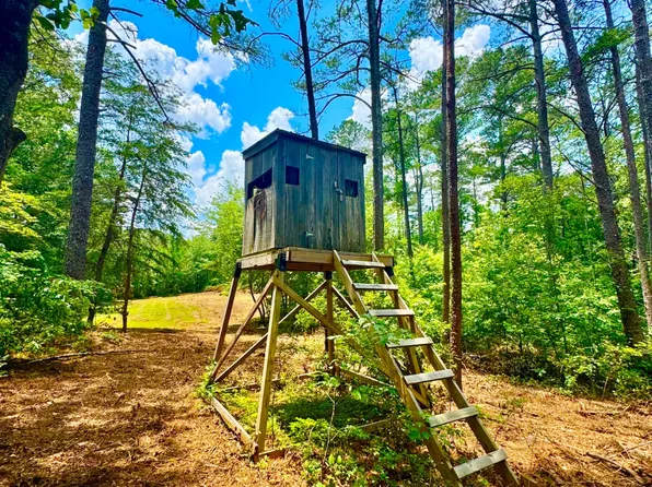 0 County Road 2, Double Springs, AL 35553