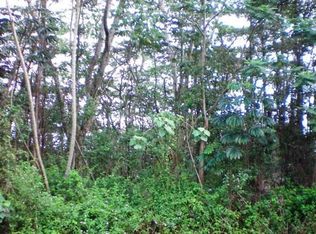 Mark Twain St LOT 50, Naalehu, HI 96772