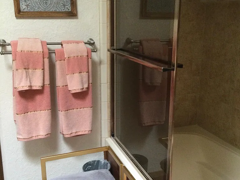 Oversize shower and tub in the master bath...