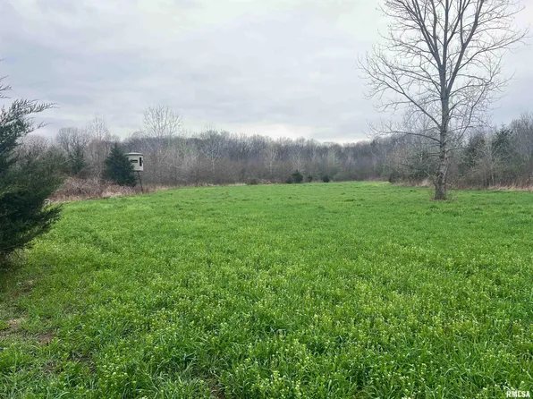 Flower Creek Rd, Plymouth, IL 62367