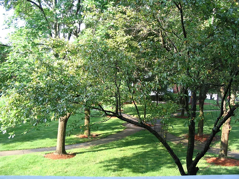 117 Cluff Crossing Rd #XX — Photo 22