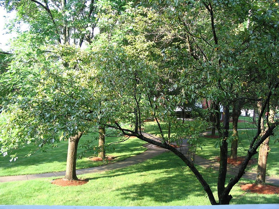 COURTYARD VIEW
