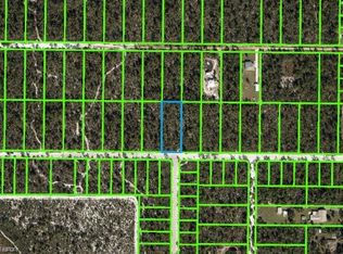 2126 Macintosh Ave, Sebring, FL 33875