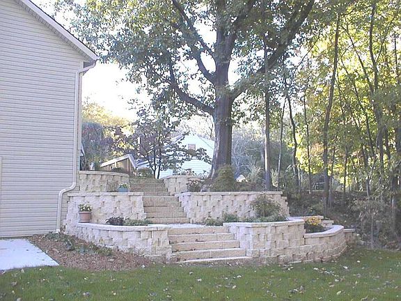 Tier Steps