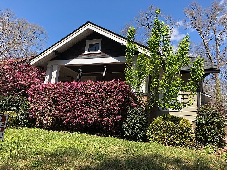 Lime tree and landscaping