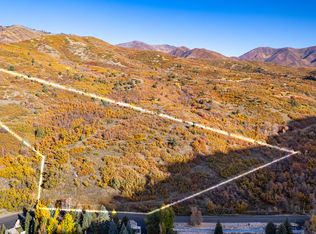 541 Left Fork Hobble Rd, Springville, UT 84663