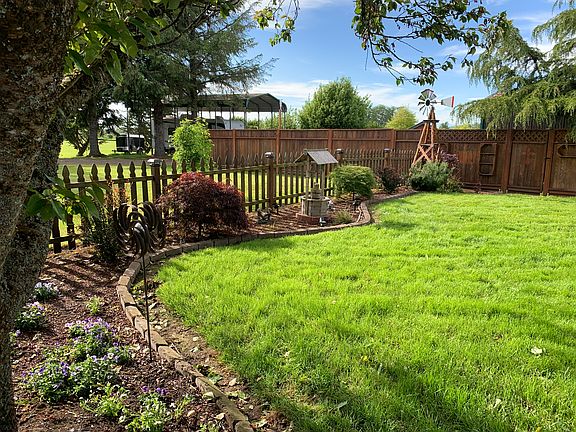 back yard 2
