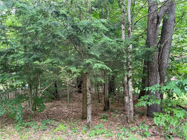 Pine Cone Ln Lot 23, Glenfield, NY 13343