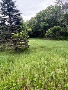 174th St NW, Big Lake, MN, 55309