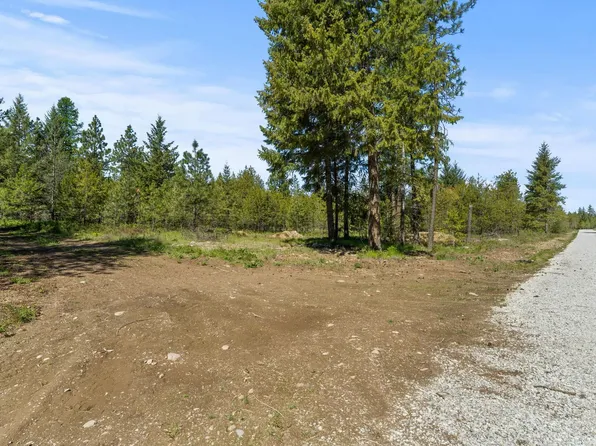 4074 Black Pine Way, Springdale, WA 99173