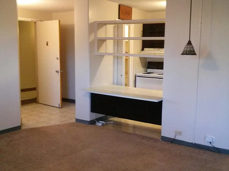 2442 Kuhio Ave #1103 — Photo 4
