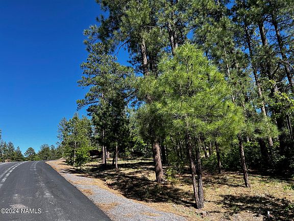 5th image of 1050 Cavern Springs Dr #5