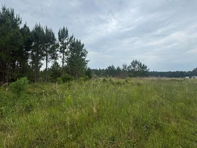 600 Cardinal Rd, Wray, GA, 31798