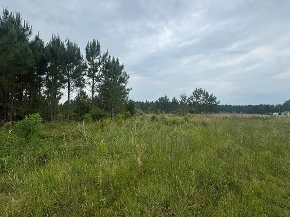 600 Cardinal Rd, Wray, GA 31798