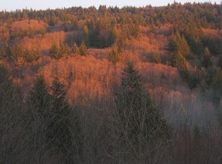 2132 Mabee Mines Rd, Washougal, WA 98671