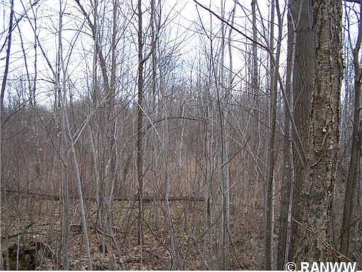 5th image of 0 W Hwy W