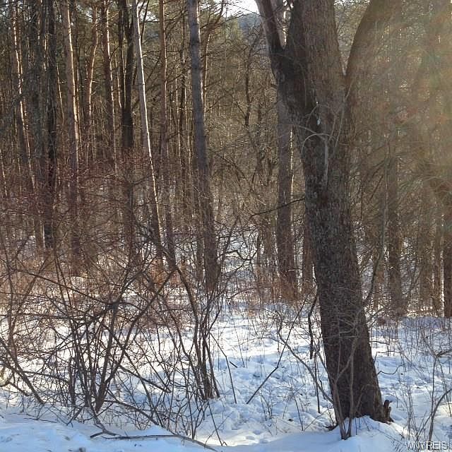 2nd image of 5789 Windfall Rd