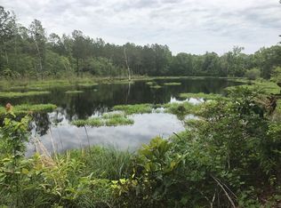 486 Mango Ln, Freeport, FL 32439