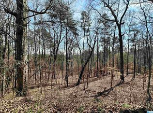 0 Walker Gap Rd, Springville, AL 35146