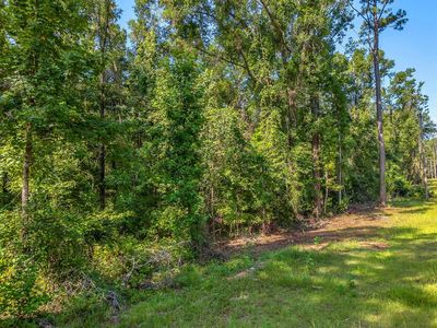 635 Quail Ln, Monticello, FL, 32344