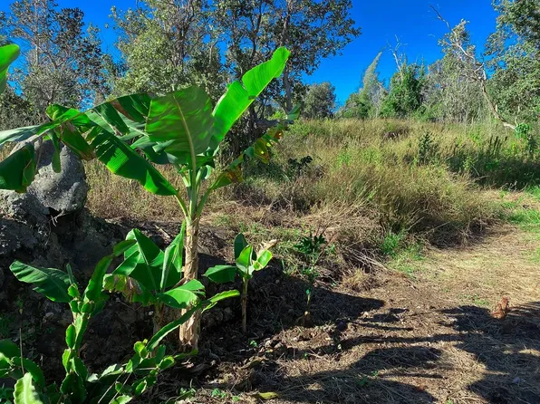 92-8862 Lotus Blossom Ln Lot 23, Captain Cook, HI 96704