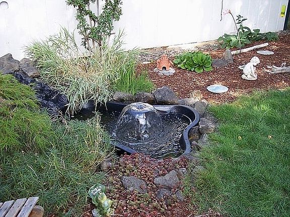 Pond/Fountain