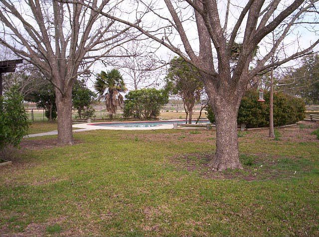 ACREAGE VIEW TO POOL