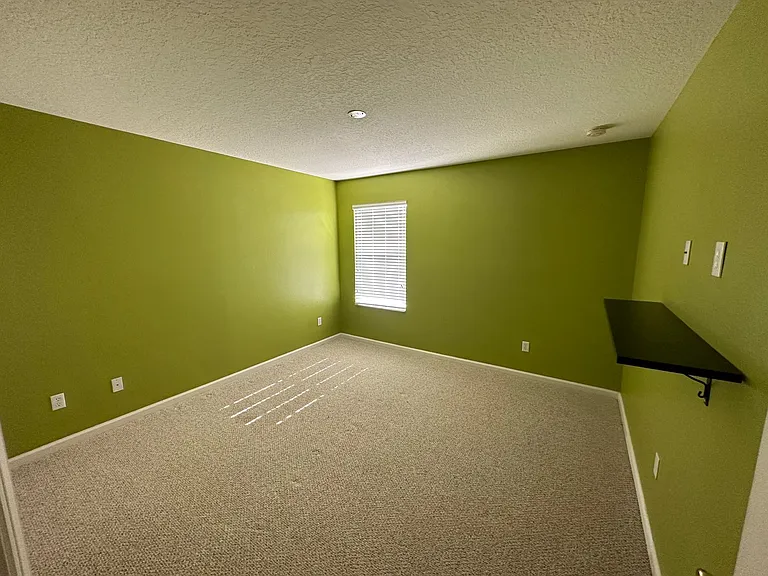 9118 Sabal Pine Way — Photo 10