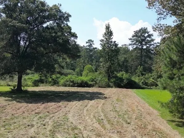 14422 Lockhart Ln, Walker, LA 70785
