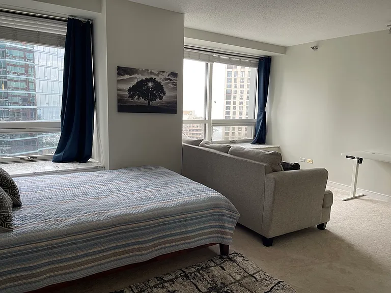 512 N McClurg Ct #3002 — Photo 19